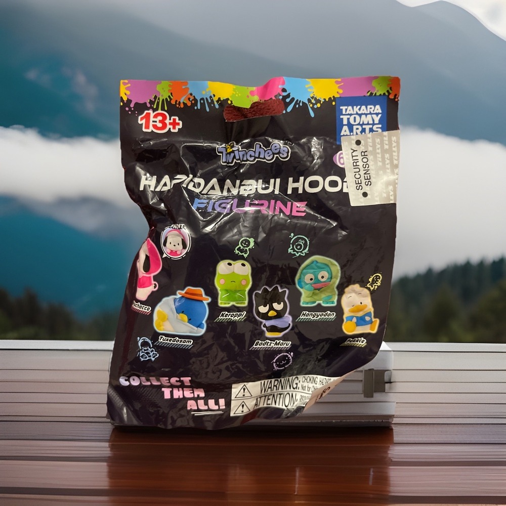 NEW UNOPENED‎ Sanrio And Friends Character Official Hapidanbui Hoodie Figurine